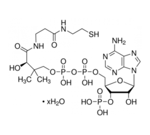 Купить Коэнзим A гидрат 85% (УФ, ВЭЖХ) Sigma C4282