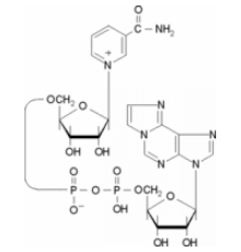 Никотинамид 1, N6-этеноадениндинуклеотид 98% Sigma N2630