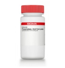 Фосфатаза, кислота из лиофилизированного порошка картофеля, 0,5-3,0 мкг / мг твердого вещества Sigma P3752