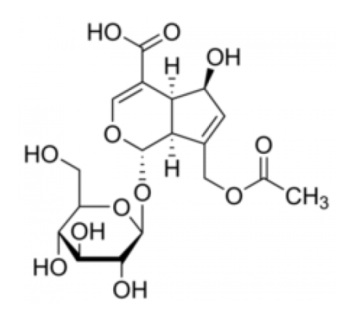 Купить Асперулозидовая кислота 90% (ЖХ / МС-ELSD) Sigma SMB00153