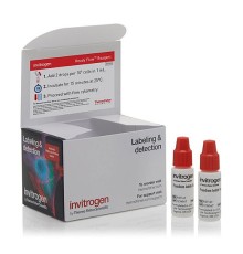 Набор Propidium Iodide Ready Flow Reagent, для проточной цитометрии, 2х2,5 мл, 120 тестов, Thermo FS