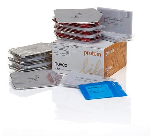 Купить Мембраны iBlot Transfer Stack, для переноса белков, 0,2 мкм, PVDF, 8 x 8 см, Thermo FS