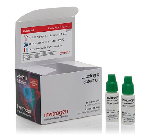 Купить Набор SYTOX Green Ready Flow Reagent, для проточной цитометрии, 2х2,5 мл, 120 тестов, Thermo FS