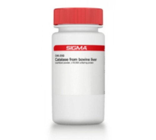 Купить Каталаза из лиофилизированного порошка бычьей печени, 10000 Единиц / мг белка Sigma C40