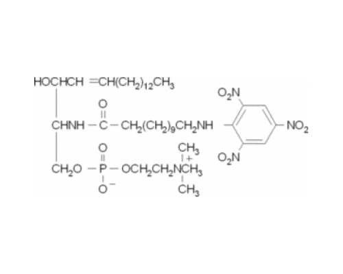 TNPAL-сфингомиелин 1 мкг / мл в смеси хлороформ / метанол (2: 1) Sigma T1014