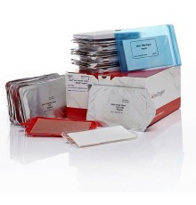 Мембраны iBlot Transfer Stack, для переноса белков, 0,2 мкм, PVDF, 13,5 x 8 см, Thermo FS