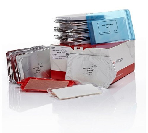 Купить Мембраны iBlot Transfer Stack, для переноса белков, 0,2 мкм, PVDF, 13,5 x 8 см, Thermo FS