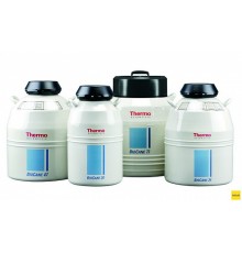 Криохранилище 73 л, 2400 образцов, d горла 152 мм, Bio-Cane 73, Thermo FS