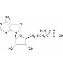 S- (5'-аденозилβL-цистеин Sigma A7772