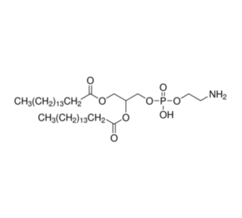 1,2-дипальмитоил-рац-глицеро-3-фосфоэтаноламин синтетический, 98% Sigma P3275