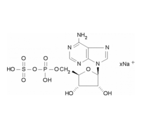 Купить Аденозин-5'-фосфосульфат натриевая соль 85% Sigma A5508