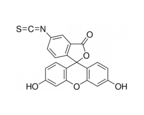 Биореагент флуоресцеин 5 (6βизотиоцианат, подходящий для флуоресценции, смесь 2 компонентов, 90% (ВЭЖХ) Sigma 46950