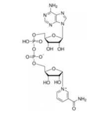 Натриевая соль -никотинамидадениндинуклеотида Sigma N0632