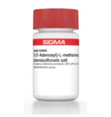 S- (5'-аденозилβL-метионинп-толуолсульфонатная соль дрожжей (обогащенная L-метионином), 80% (ВЭЖХ), 80% (спектрофотометрический анализ) Sigma A2408
