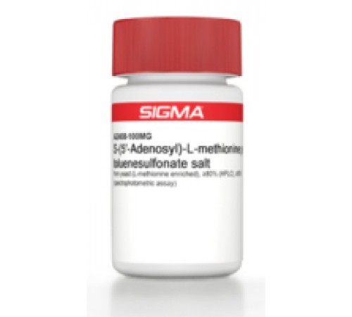 Купить S- (5'-аденозилβL-метионинп-толуолсульфонатная соль дрожжей (обогащенная L-метионином), 80% (ВЭЖХ), 80% (спектрофотометрический анализ) Sigma A2408