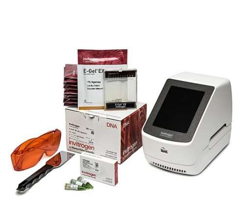 Купить Электрофорезная горизонтальная система E-Gel Power Snap Electrophoresis System Starter Kit, EX 1%, Thermo FS