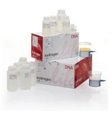 Набор PureLink HiPure Expi Plasmid Megaprep Kit, Thermo FS
