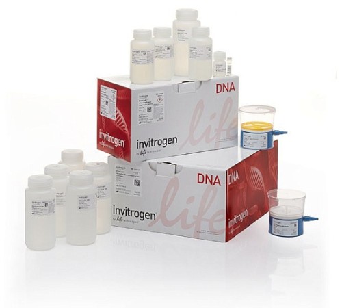 Купить Набор PureLink HiPure Expi Plasmid Megaprep Kit, Thermo FS