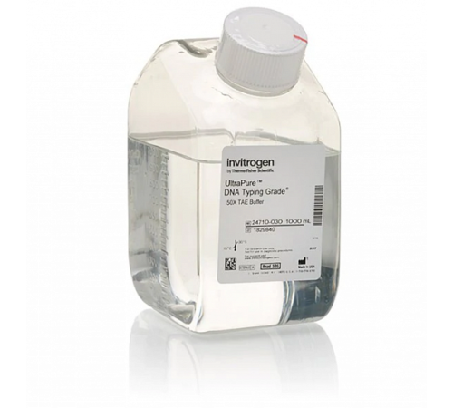 Купить Буфер TAE (Трис-ацетат-ЭДТА), DNA Typing Grade, 50Х, UltraPure, Thermo FS