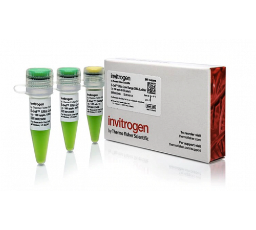 Купить Маркер длин ДНК, E-Gel Ultra Low Range, от 10 п.н. до 30 п.н., Thermo FS