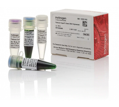Купить ДНК-полимераза Platinum SuperFi Green DNA Polymerase, Thermo FS