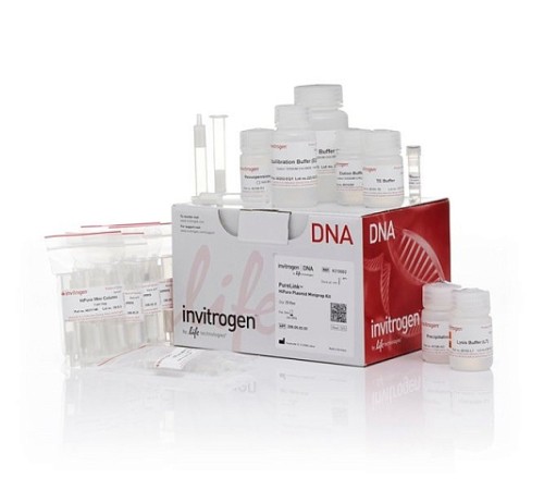 Купить Набор PureLink HiPure Plasmid Miniprep Kit, Thermo FS