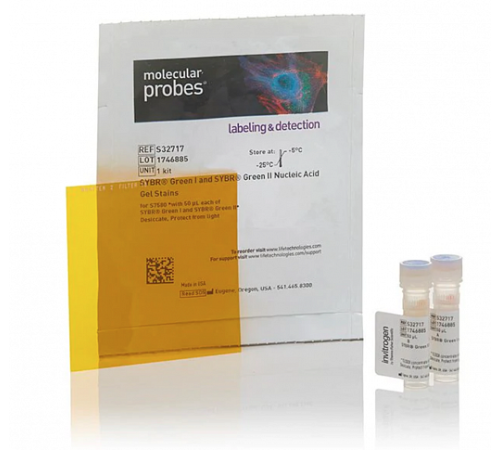 Купить Краситель SYBR Green Nucleic Acid Gel Stain Starter Kit, Thermo FS