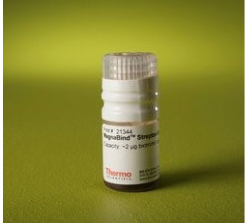 Купить Магнитные частицы, d 1-4 мкм, 5 мл, стрептавидин, MagnaBind, Thermo FS