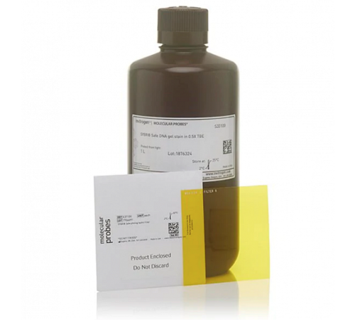 Купить Краситель SYBR Safe, раствор в 0,5x буфере TBE, Thermo FS