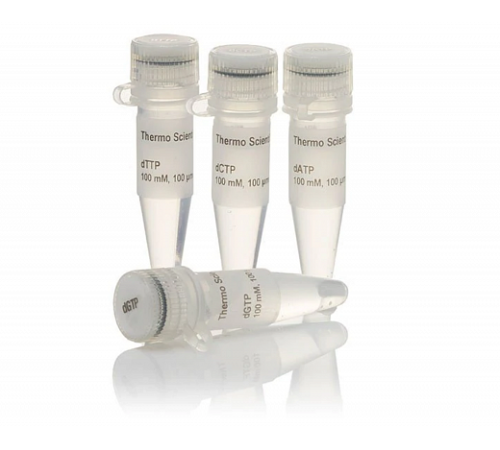 Купить Набор dNTP Set, 100 mM Solutions, Thermo FS