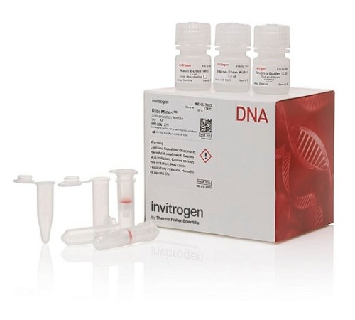 Купить Набор PureLink Genomic Plant DNA Purification Kit, Thermo FS