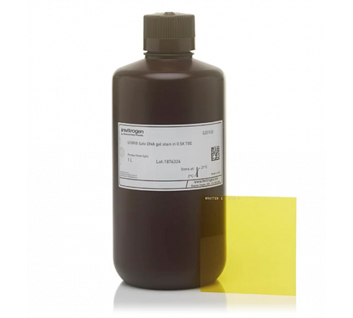 Купить Краситель SYBR Safe DNA Gel Stain Starter Kit, Thermo FS
