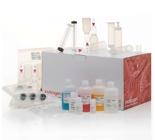 Купить Набор PureLink Fast Low-Endotoxin Midi Plasmid Purification Kit, Thermo FS