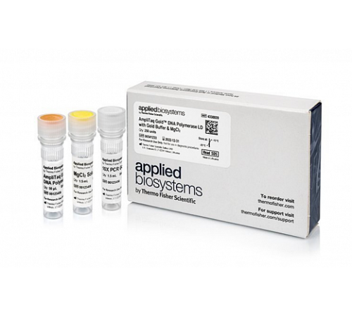 Купить ДНК-полимераза AmpliTaq Gold DNA Polymerase LD (Low DNA) with Gold Buffer and MgCl2, Thermo FS