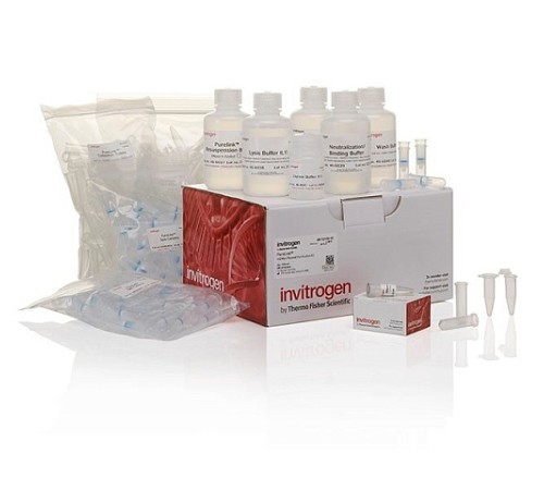 Купить Набор PureLink HQ Mini Plasmid DNA Purification Kit, Thermo FS
