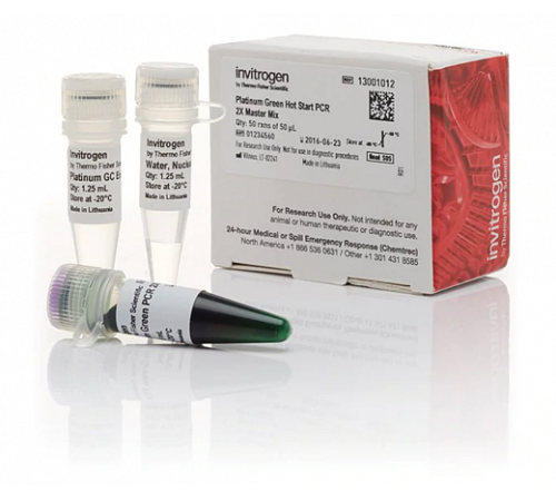 Купить Набор Platinum Green Hot Start PCR Master Mix (2X), Thermo FS