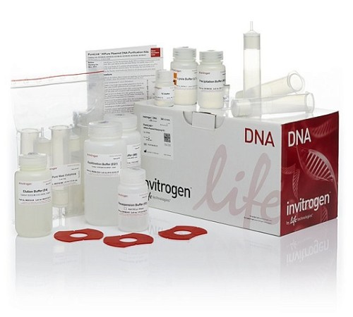 Купить Набор PureLink HiPure Plasmid Maxiprep Kit, Thermo FS