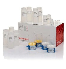 Набор PureLink Expi Endotoxin-Free Giga Plasmid Purification Kit, Thermo FS