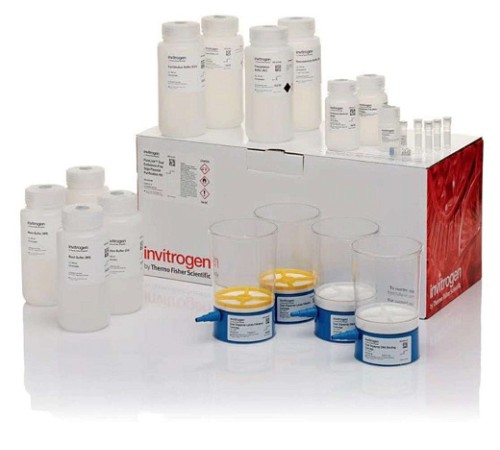 Купить Набор PureLink Expi Endotoxin-Free Giga Plasmid Purification Kit, Thermo FS