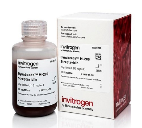 Купить Магнитные частицы, d 2,8 мкм, 2 мл, стрептавидин, Dynabeads М-280, Thermo FS
