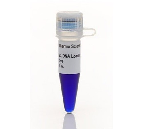 Купить Краситель для нанесения на гель RNA Gel Loading Dye, 2Х, Thermo FS