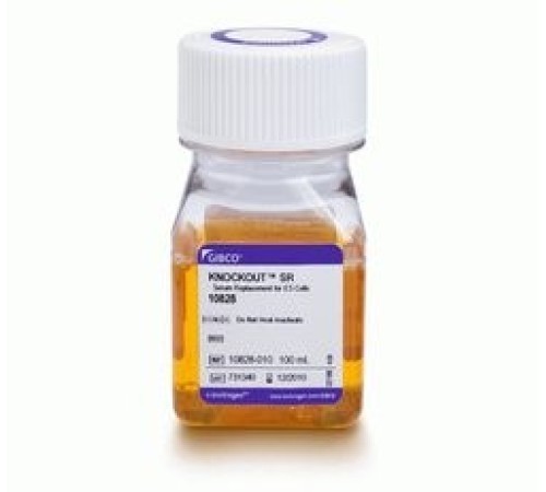 Купить Заменитель сыворотки KnockOut Serum Replacement, Thermo FS