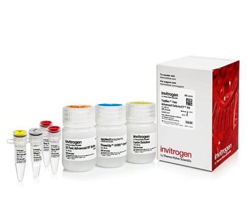 Купить Набор для прямого анализа экспрессии генов TaqMan Fast Advanced Cells-to-CT Kit из культивируемых клеток без предварительного выделения РНК, Thermo FS
