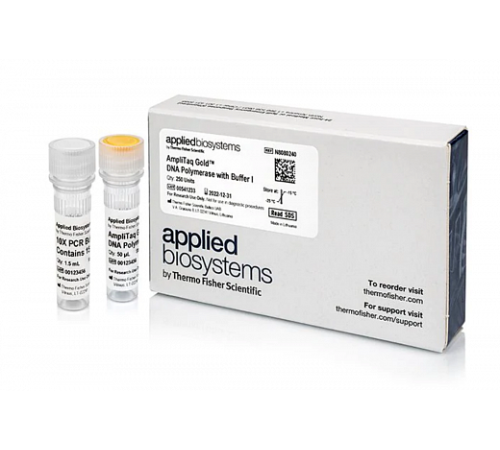 Купить ДНК-полимераза AmpliTaq Gold DNA Polymerase с буферным раствором I, Thermo FS