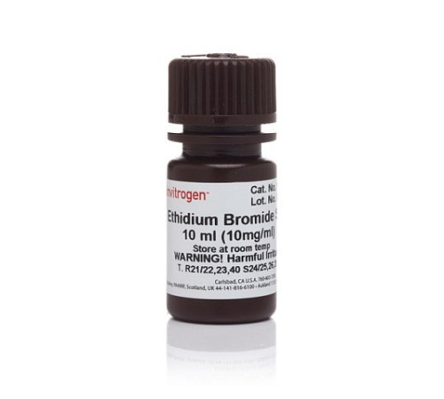 Купить Краситель Ethidium Bromide, UltraPure, Thermo FS