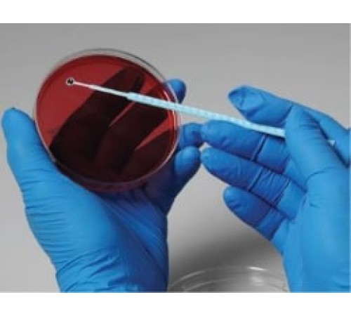 Купить Candida kefyr, штамм ATCC 2512, 5 петель, Thermo FS