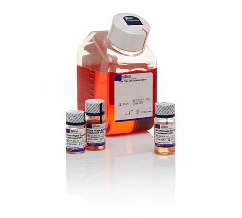 Купить Набор PSC Dopaminergic Neuron Differentiation Kit, Thermo FS