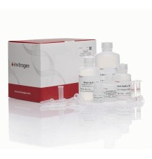 Набор PureLink Total RNA Blood Kit, Thermo FS