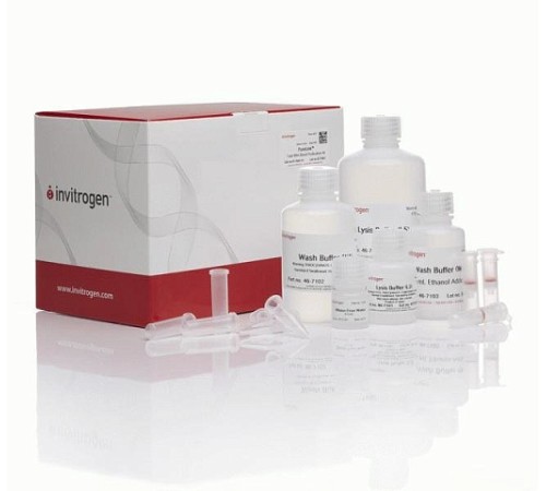 Купить Набор PureLink Total RNA Blood Kit, Thermo FS