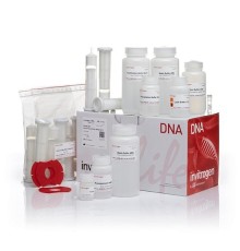 Набор PureLink HiPure Plasmid Filter Maxiprep Kit, Thermo FS
